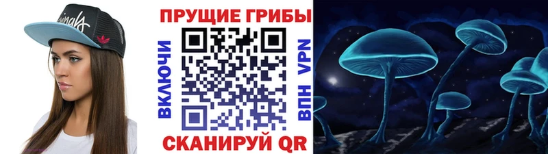 Купить где  Бокситогорск  Псилоцибиновые грибы Psilocybine cubensis 